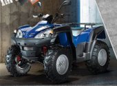 2010 Fokamo ATV 320 Infinitive photo